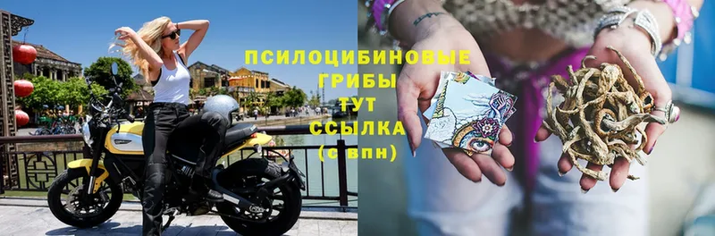 Галлюциногенные грибы мухоморы  Звенигород 